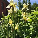 Landidyll - Laendchen Bellin Holiday home