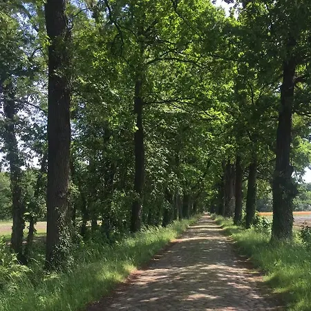 Landidyll - Laendchen Bellin Holiday home Brunne