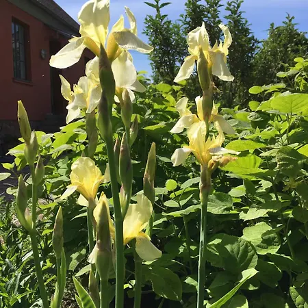 Landidyll - Laendchen Bellin Holiday home
