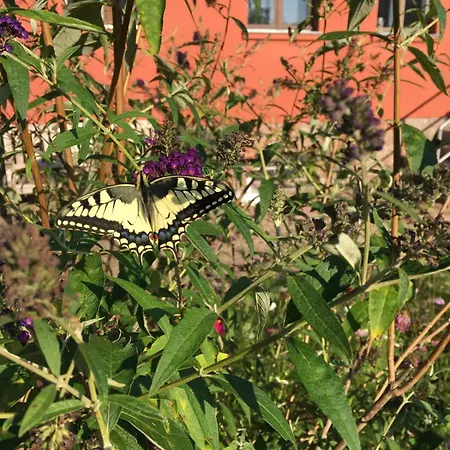 Landidyll - Laendchen Bellin Holiday home *
